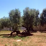 Gli Ulivi 4* Leverano