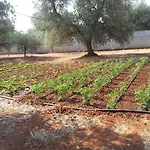 Gli Ulivi Ξενοδοχείο με διαμερίσματα