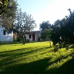 Gli Ulivi Leverano