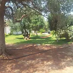 Gli Ulivi 4*