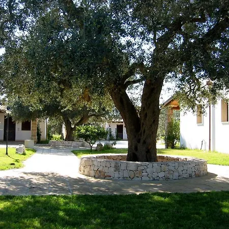 Gli Ulivi לבראנו