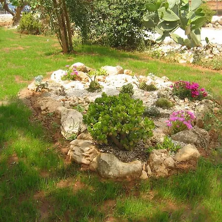 Gli Ulivi 3*