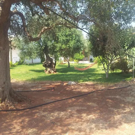 Gli Ulivi 3*
