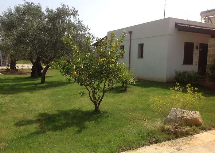 Gli Ulivi