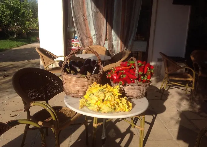 Gli Ulivi Leverano