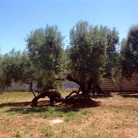 Gli Ulivi 3* Leverano