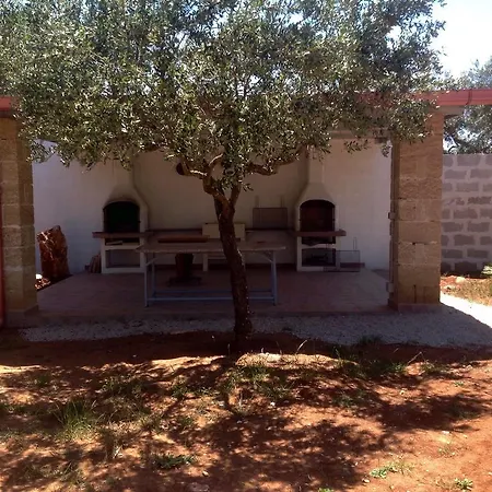 Gli Ulivi 3*