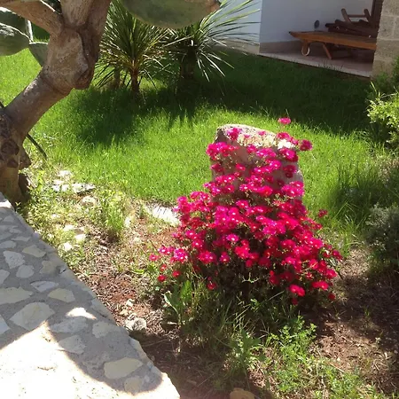 Aparthotel Gli Ulivi Leverano