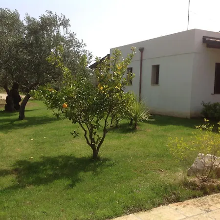 Gli Ulivi