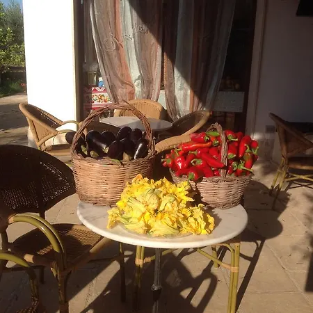 Gli Ulivi Leverano