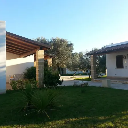 Gli Ulivi 3*