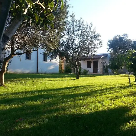 Gli Ulivi