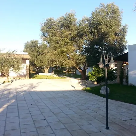 Gli Ulivi 3*