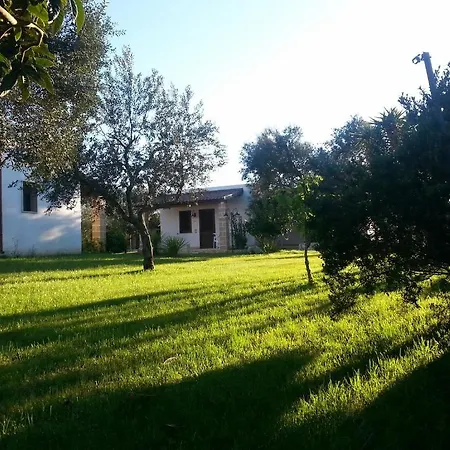 Gli Ulivi Leverano