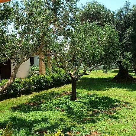 Gli Ulivi Leverano