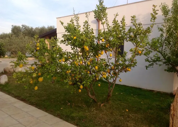Gli Ulivi 4* Leverano