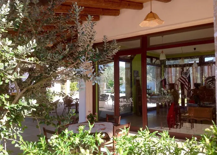 Gli Ulivi Leverano